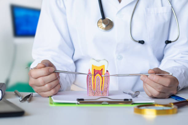 Best Emergency Treatment for Toothache in Sherwood, WI